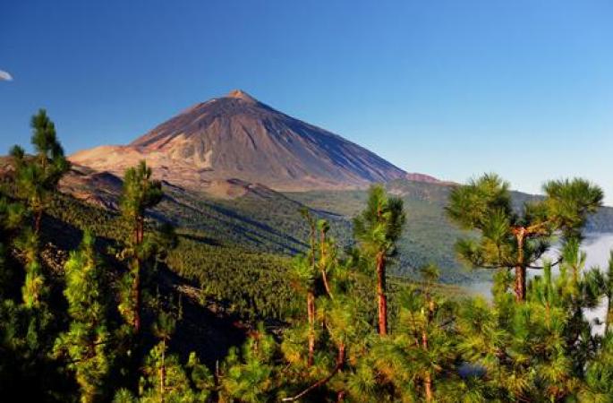 Fly drive Tenerife